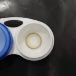 CANDY HAZEL - Image 2